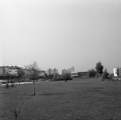 A kultúrgödör 1971