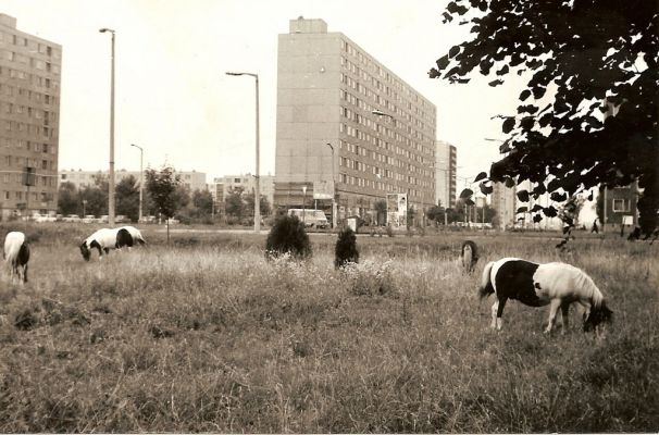 A Lenin út vége a zöld ház nélkül 1982